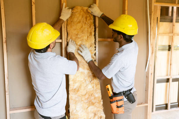 Best Insulation for New Construction  in Jefferson, TX